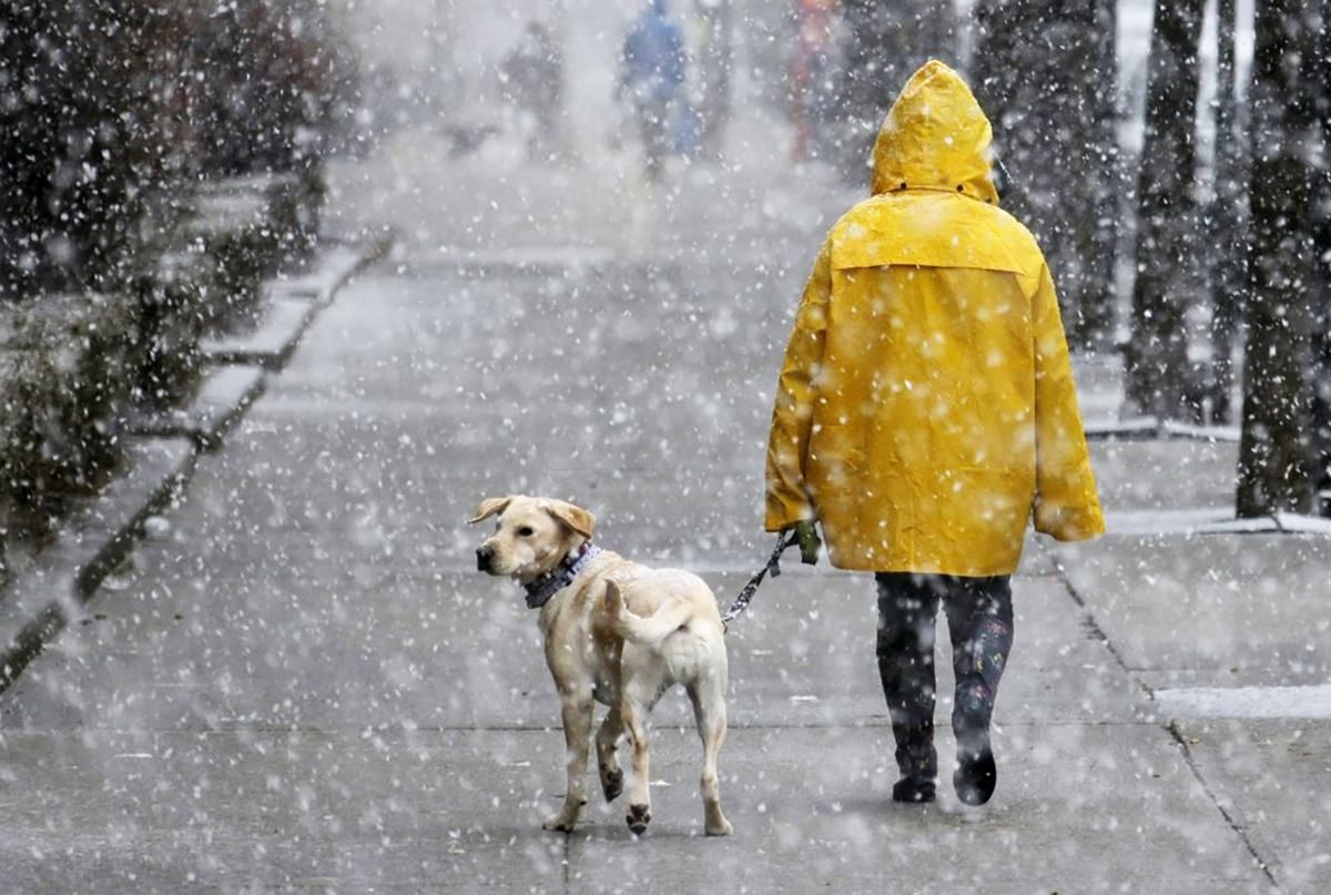 Погода 4 січня 2020 Україна: яку погоду обіцяє синоптик Погода 4 січня 2020 Україна: яку погоду обіцяє синоптик
