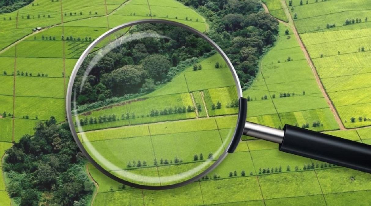 Законопроєкт про ринок землі готовий до другого читання: які правки вніс комітет Законопроєкт про ринок землі готовий до другого читання: які правки вніс комітет