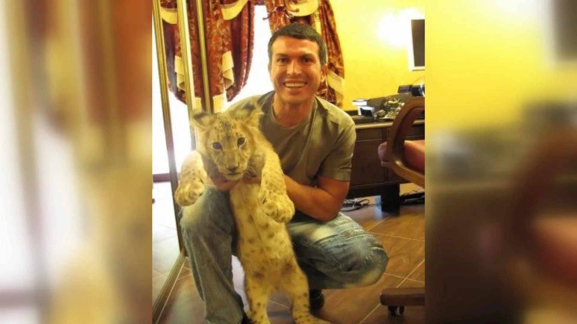 тигри у києві тигри у києві