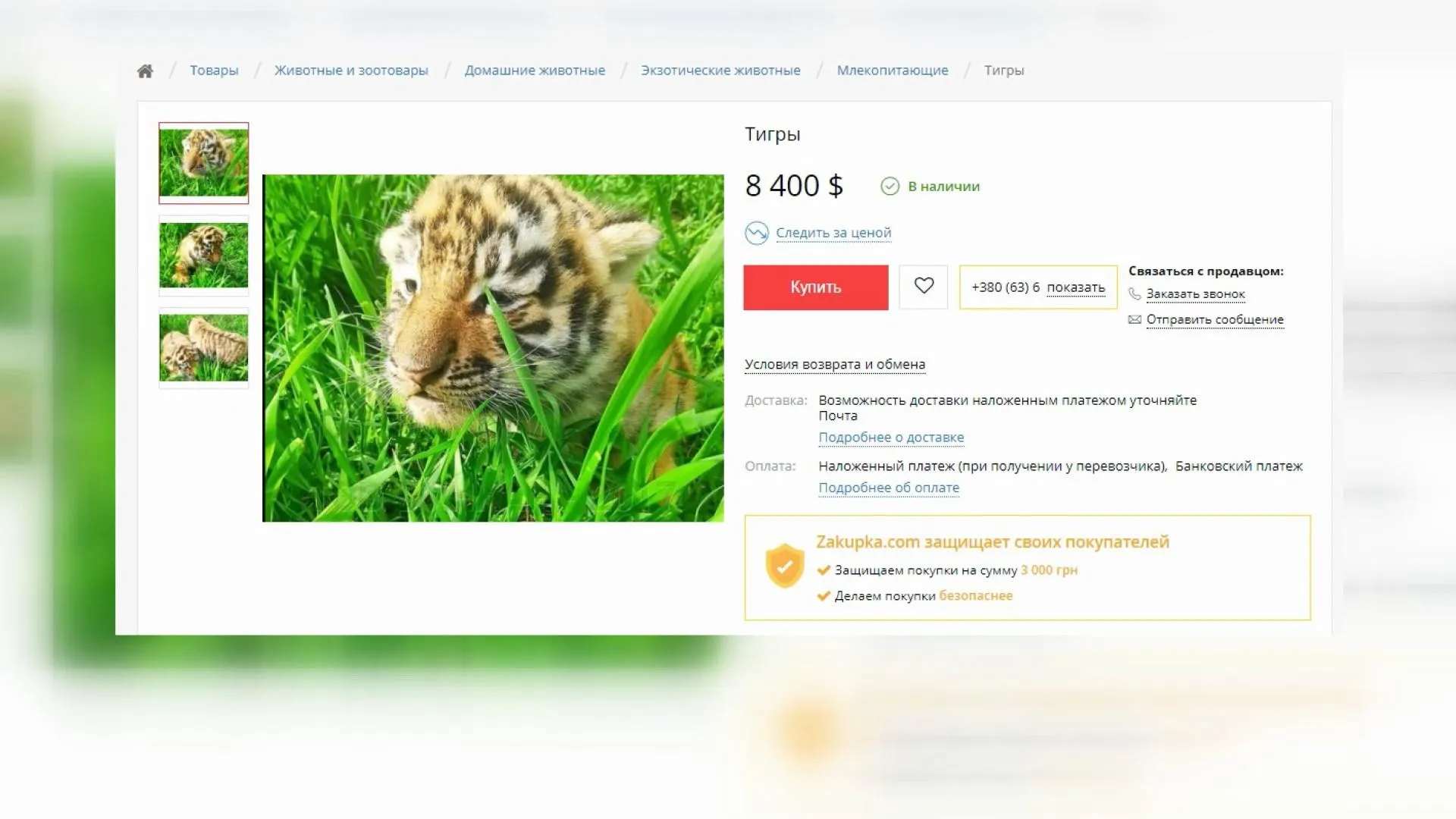 тигри у києві тигри у києві