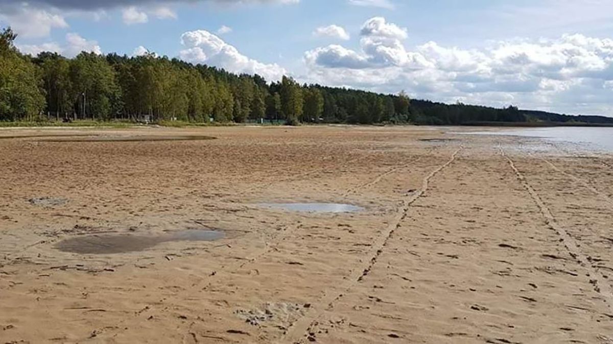 Обмеление Шацких озер на Волыни: против чиновников возбудили уголовное дело