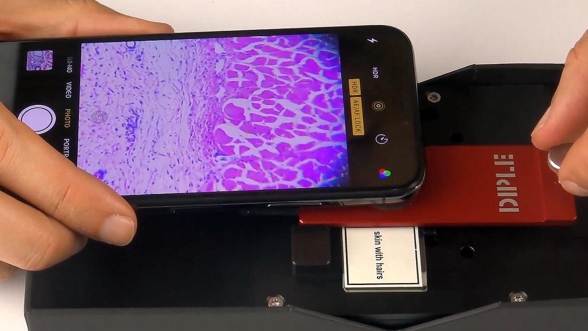 Создан микроскоп для смартфона с 1000-кратным зумом: видео