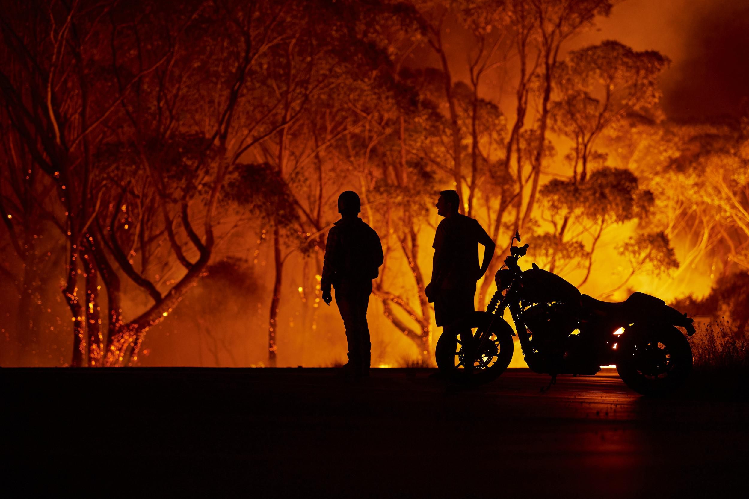 Пожежі в Австралії – навмисно підпалювали десятки осіб 