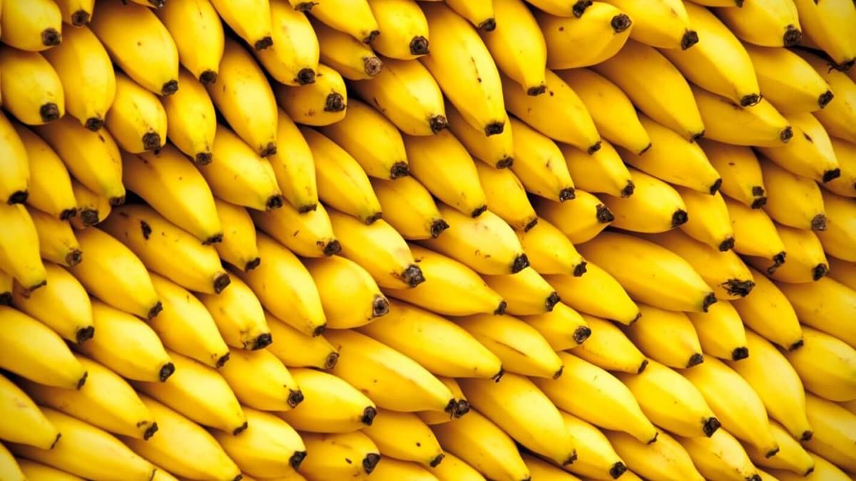 Украина в 2019 году установила рекорд импорта бананов