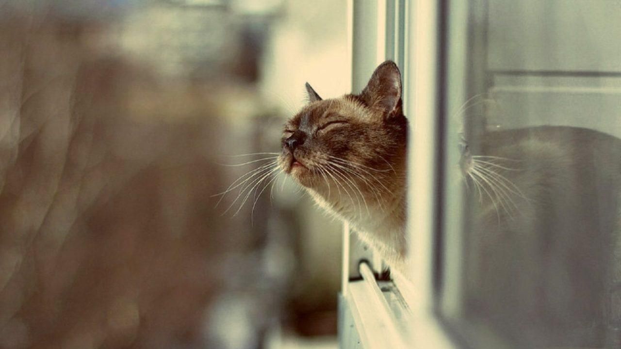 Погода 10 января 2020 Украина: какую погоду обещает синоптик Погода 10 января 2020 Украина: какую погоду обещает синоптик