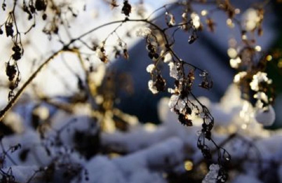 Погода 12 січня 2020 Україна: яку погоду обіцяє синоптик Погода 12 січня 2020 Україна: яку погоду обіцяє синоптик