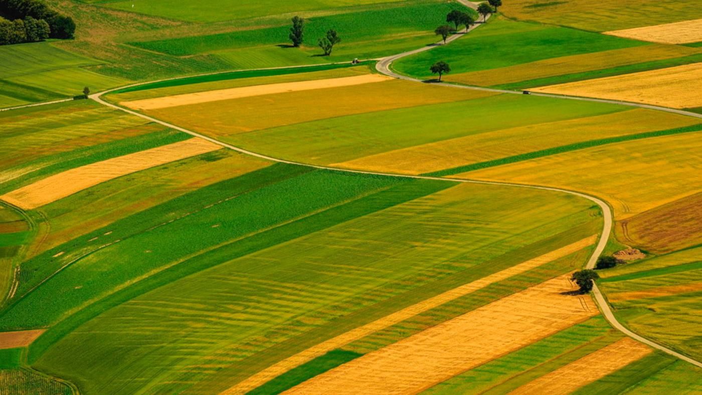 Была в собственности университетов: в Минобразования недосчитались более 24 гектаров земли Была в собственности университетов: в Минобразования недосчитались более 24 гектаров земли