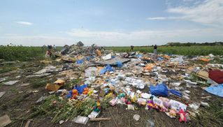 Катастрофа самолета МАУ и малайзийского Boeing: в чем сходство и различие