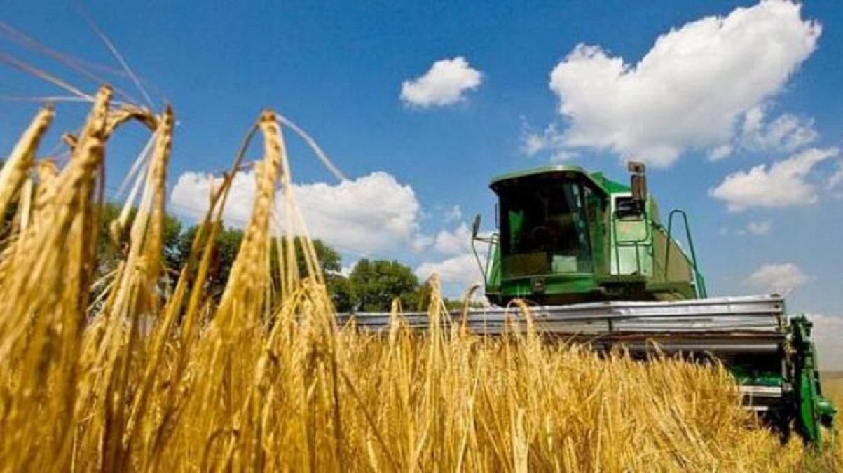 Украина – один из крупнейших экспортеров агропродукции в ЕС