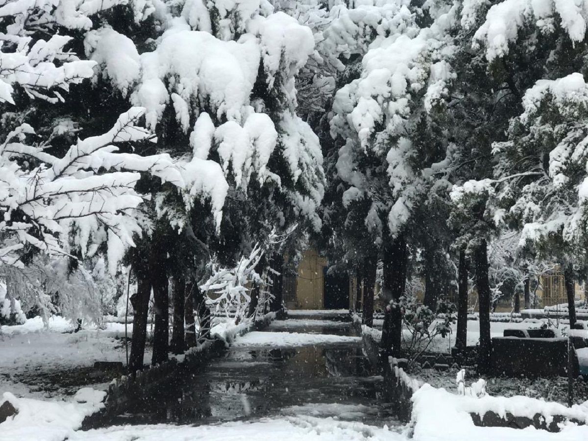 Мощные снегопады обрушились на Афганистан: число погибших увеличилось до 24 Мощные снегопады обрушились на Афганистан: число погибших увеличилось до 24