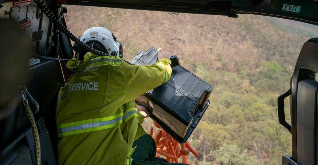 Австралия горит - животным бросают овощи из воздуха Австралия горит - животным бросают овощи из воздуха