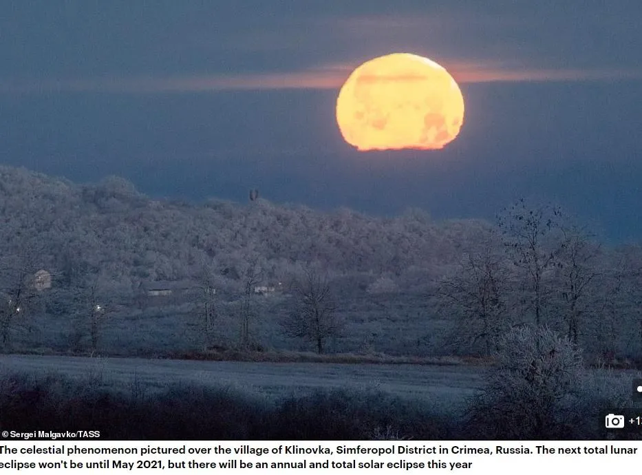 крим не російський крим не російський