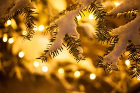 14 января – какой сегодня праздник и что нельзя делать в этот день