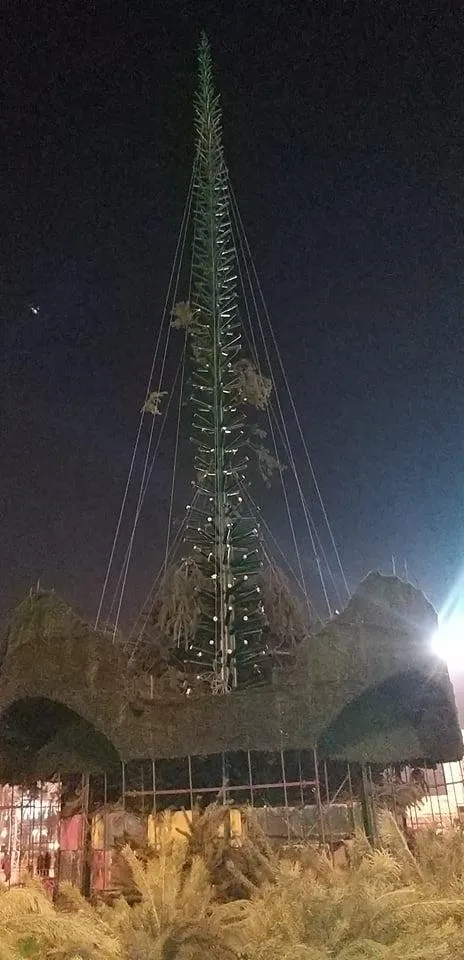 Головна ялинка країни: демонтаж Головна ялинка країни: демонтаж