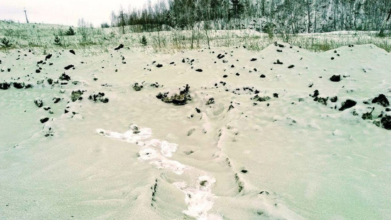 В России выпал зеленый снег: объяснение эколога и фото В России выпал зеленый снег: объяснение эколога и фото