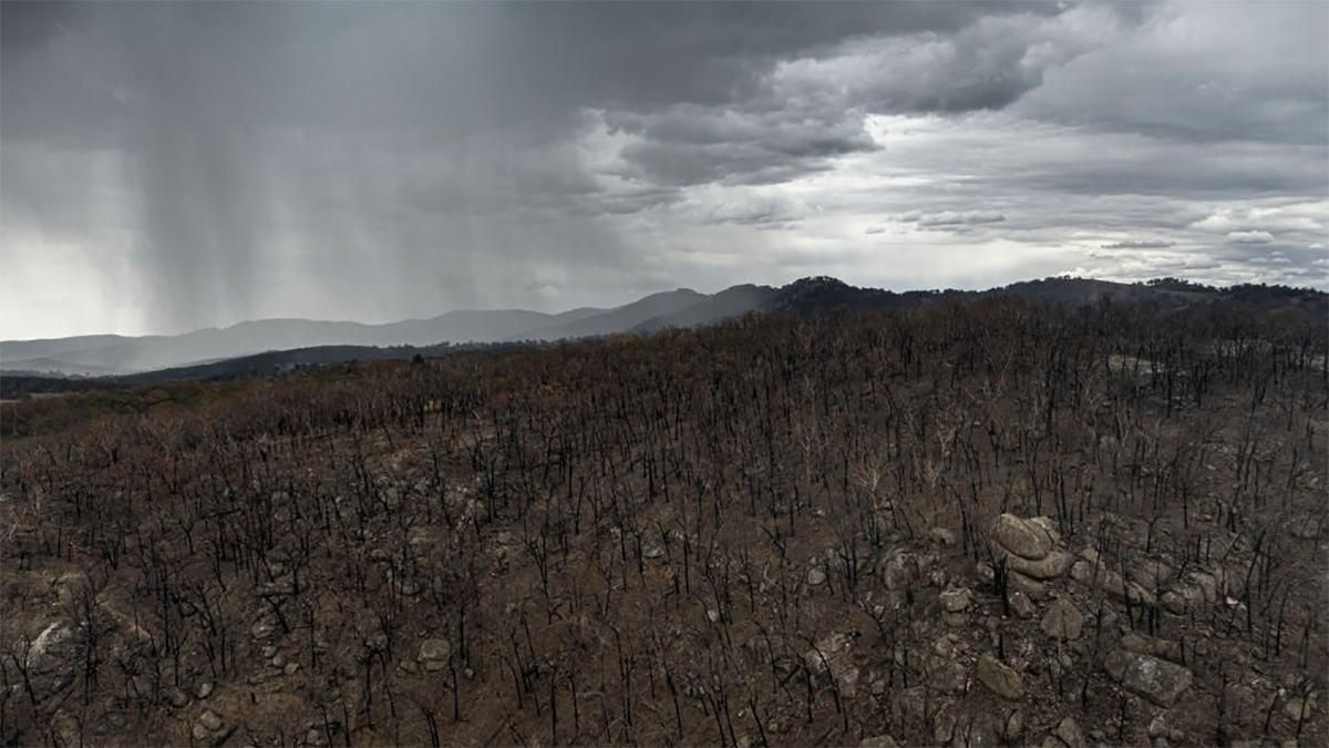 Пожежі в Австралії 2020: в Австралії випав дощ – фото, відео Пожежі в Австралії 2020: в Австралії випав дощ – фото, відео