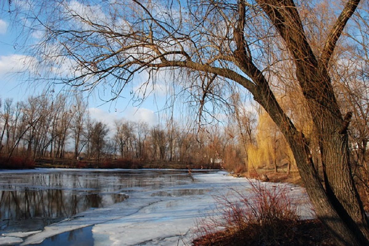 Погода 18 января 2020 Украина: какую погоду обещает синоптик Погода 18 января 2020 Украина: какую погоду обещает синоптик