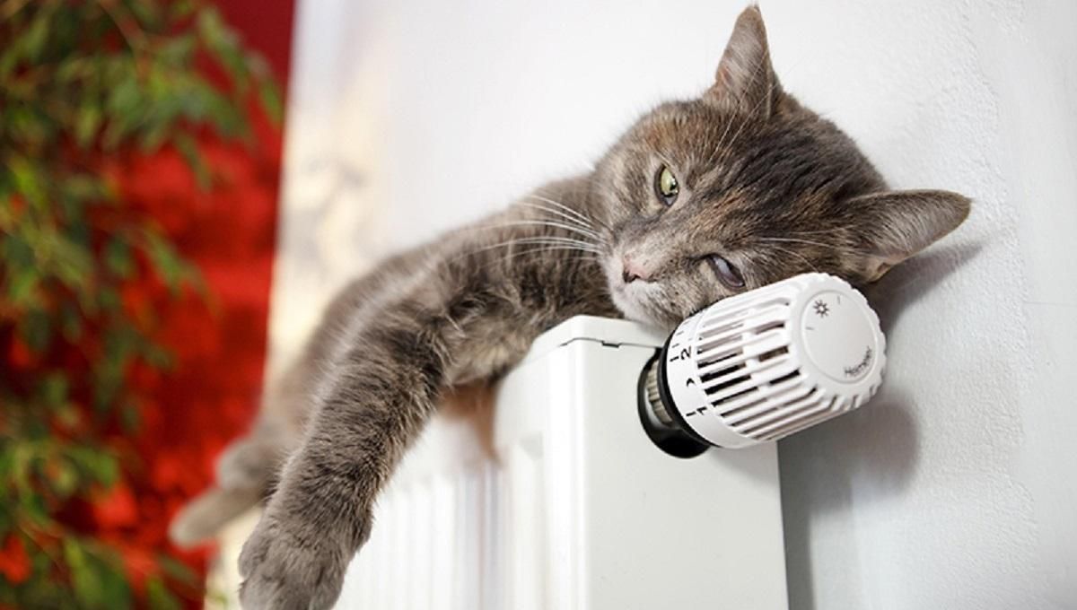 Погода 20 января 2020 Украина: какую погоду обещает синоптик Погода 20 января 2020 Украина: какую погоду обещает синоптик