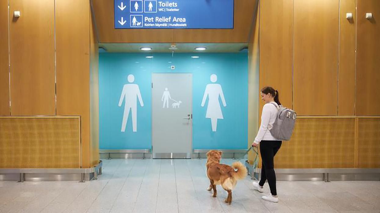 В аеропорту Гельсінкі з'явилися туалети для домашніх тварин: фото