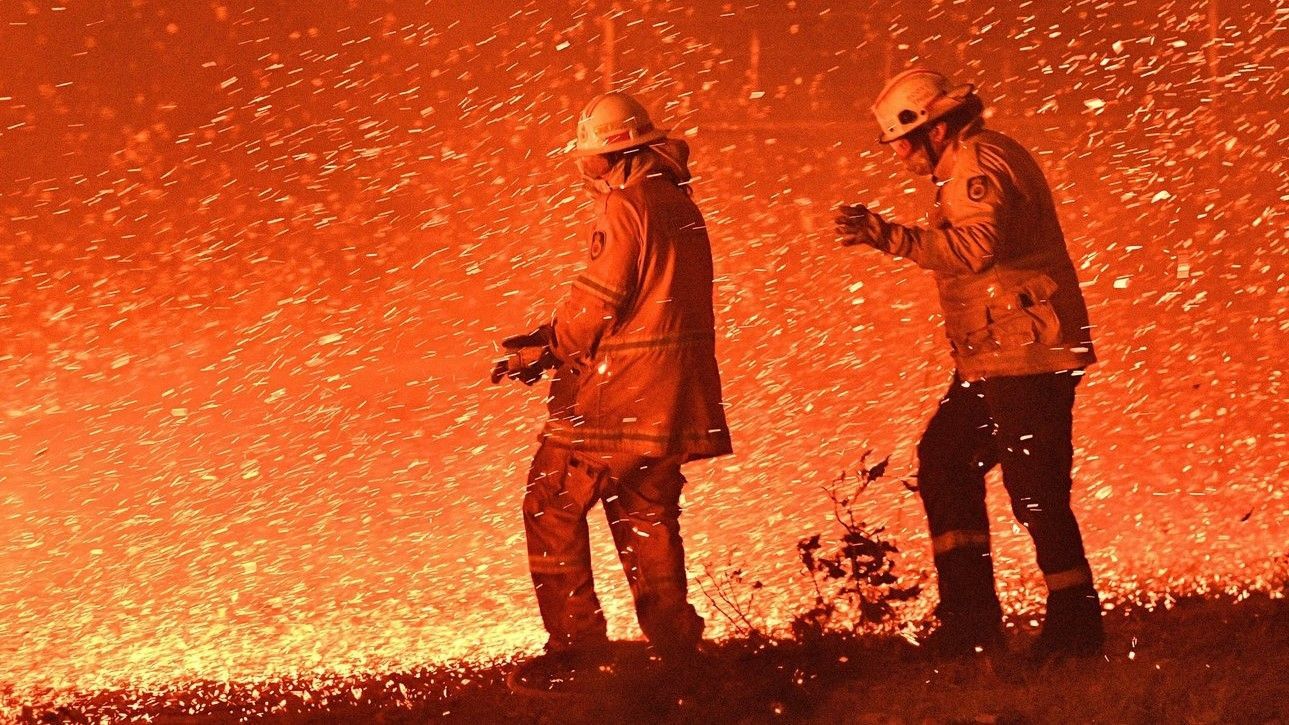  Пожары в Австралии 2020 - Сотни тысяч рыб погибли из-за пепла