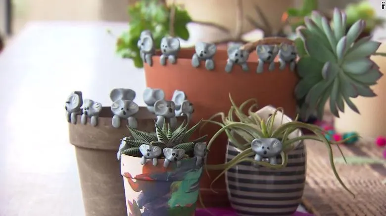 Допомога природі Австралії Допомога природі Австралії