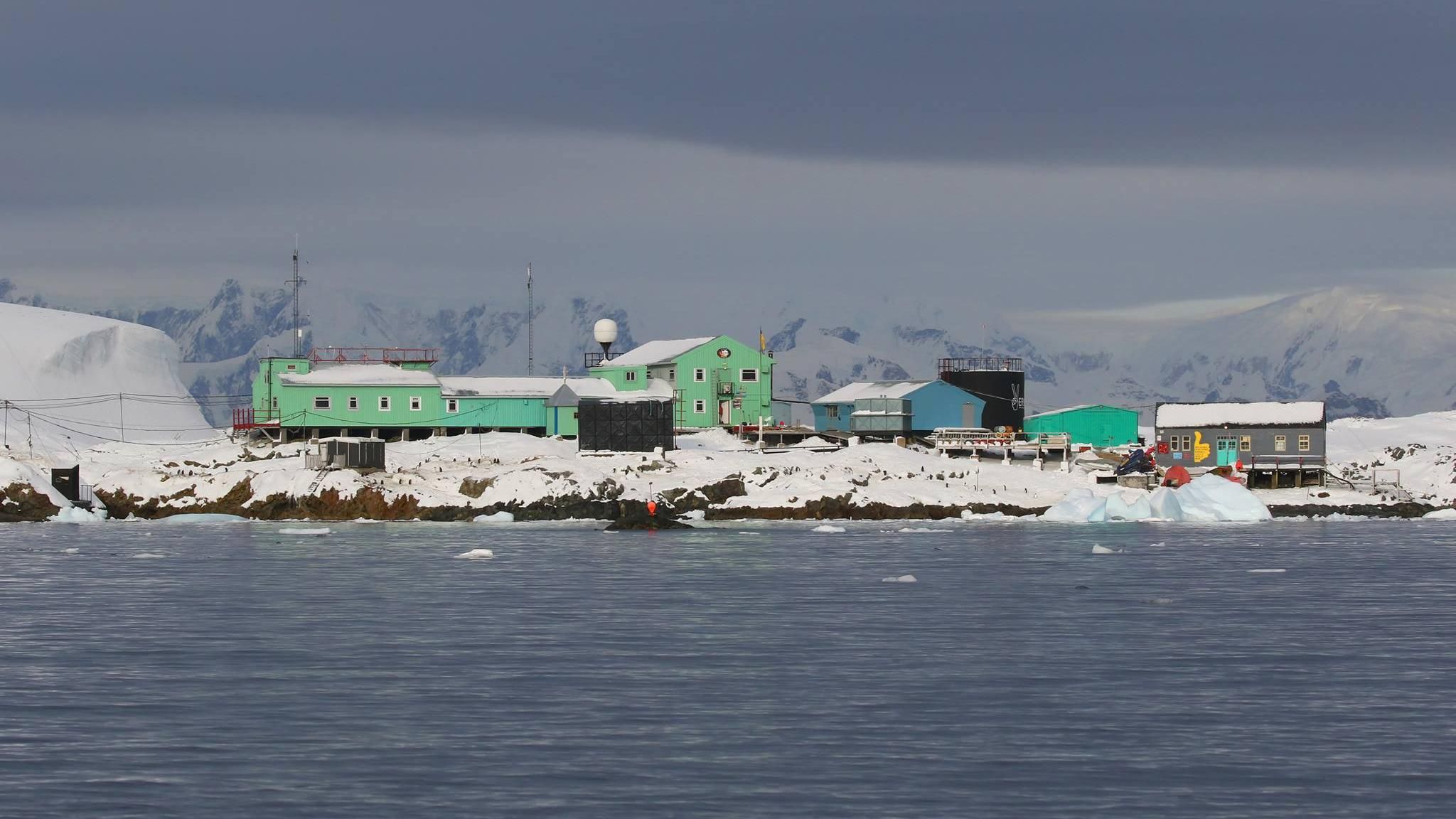 Как Крещение с купанием отметили в Антарктиде: фото Как Крещение с купанием отметили в Антарктиде: фото