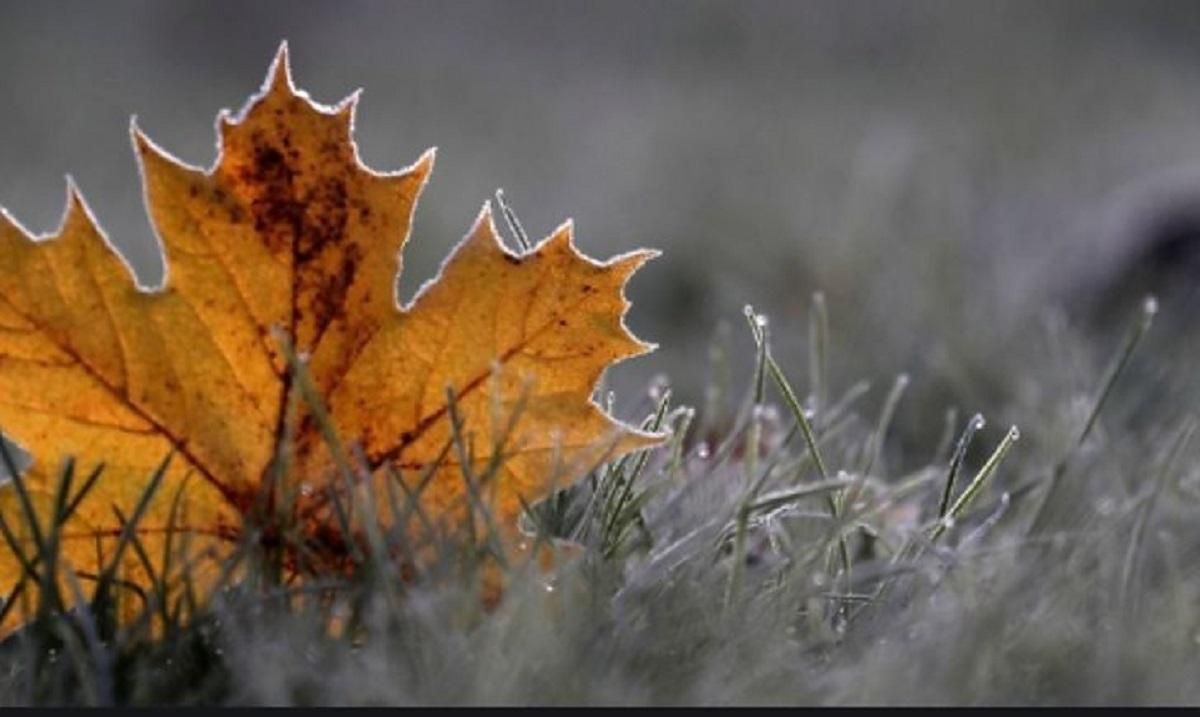 Погода 21 січня 2020 Україна: яку погоду обіцяє синоптик Погода 21 січня 2020 Україна: яку погоду обіцяє синоптик