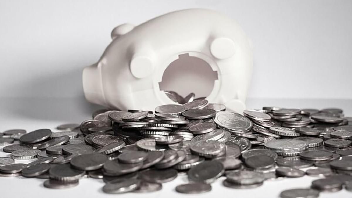 Що таке економічний паспорт українця Що таке економічний паспорт українця