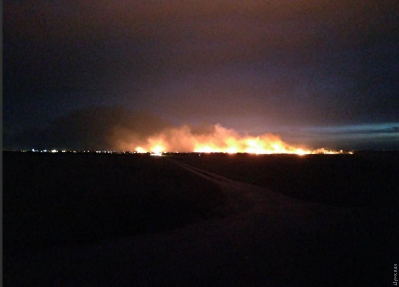 Под Одессой горит национальный парк: пожарные не могут потушить огонь – фото, видео