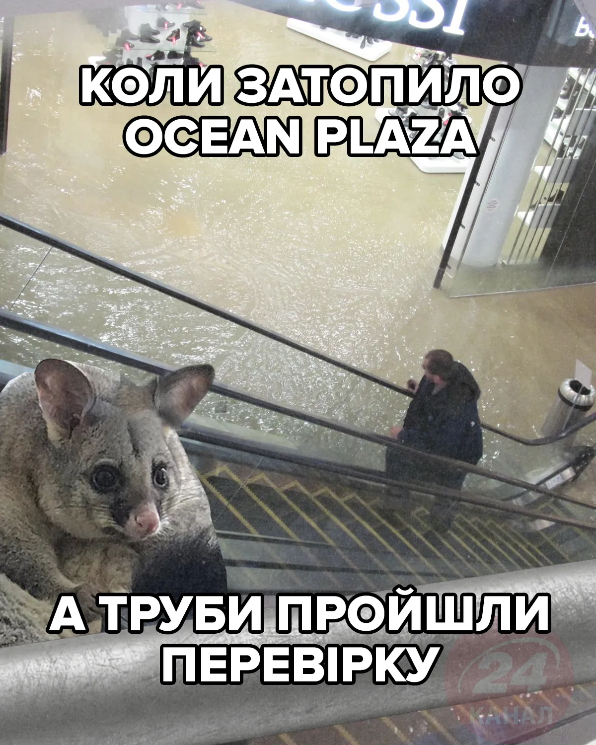 мем 24 канала мем 24 канала