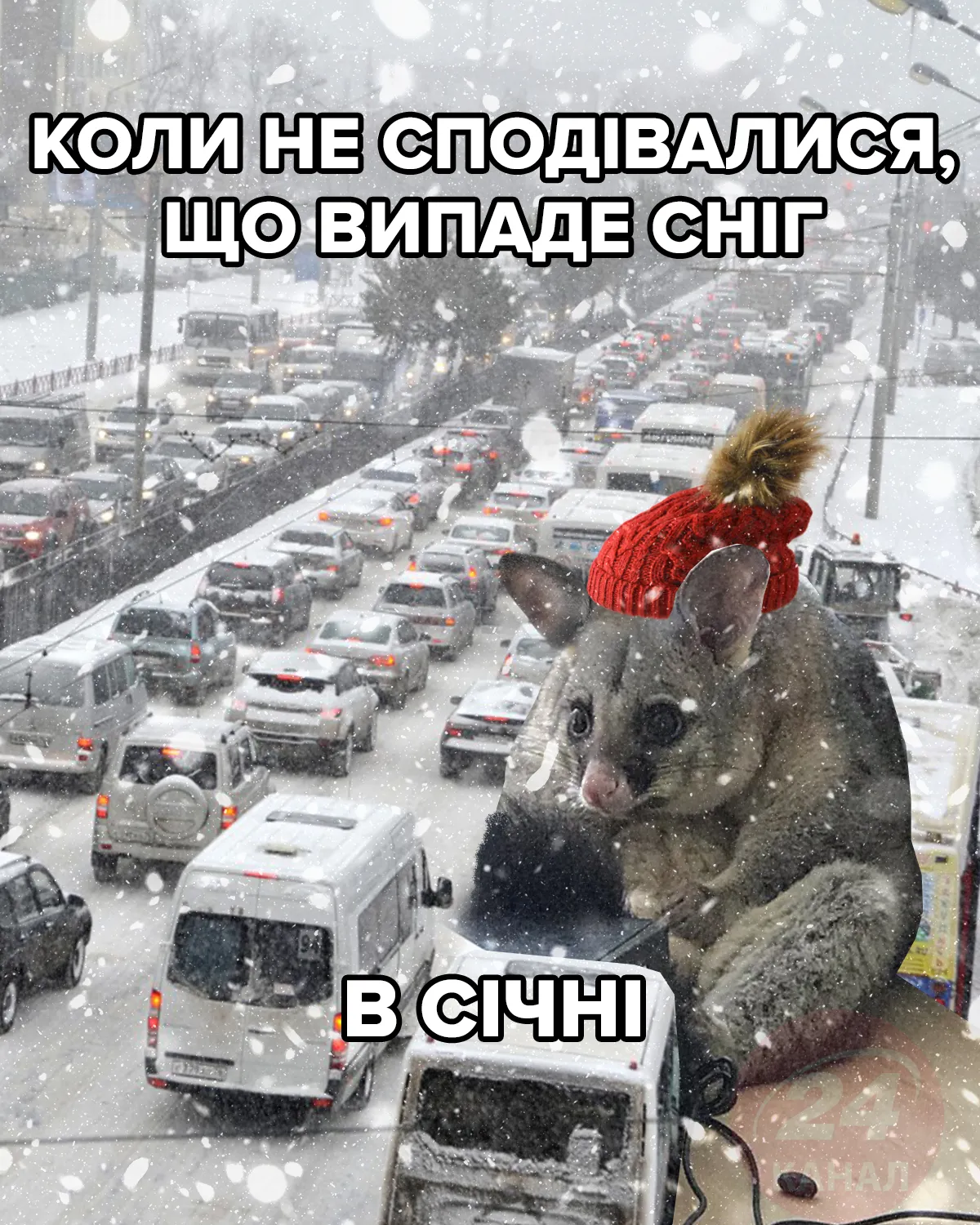 мем 24 канала мем 24 канала