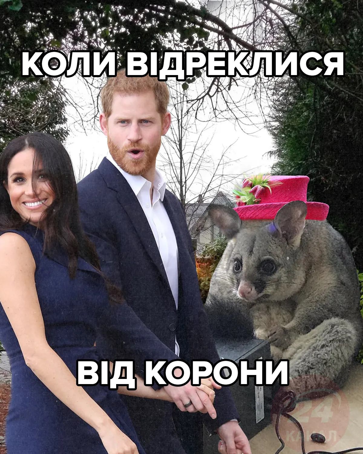 мем 24 канала мем 24 канала