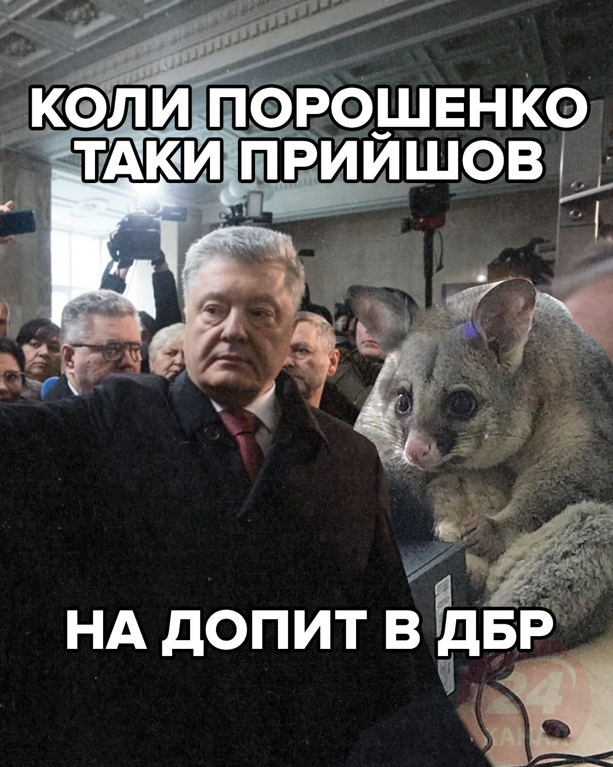 мем 24 канала мем 24 канала