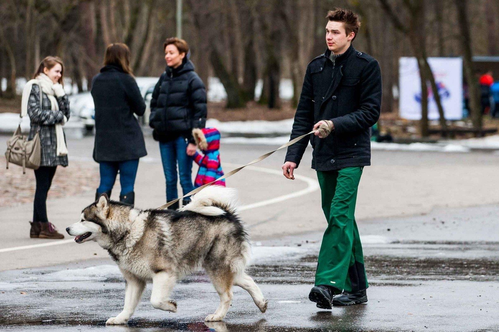 Погода 25 января 2020 Украина: какую погоду обещает синоптик Погода 25 января 2020 Украина: какую погоду обещает синоптик