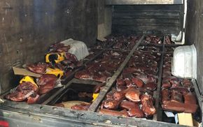 Ви за контрабанду чи проти: Нефьодов оголосив опитування – фото