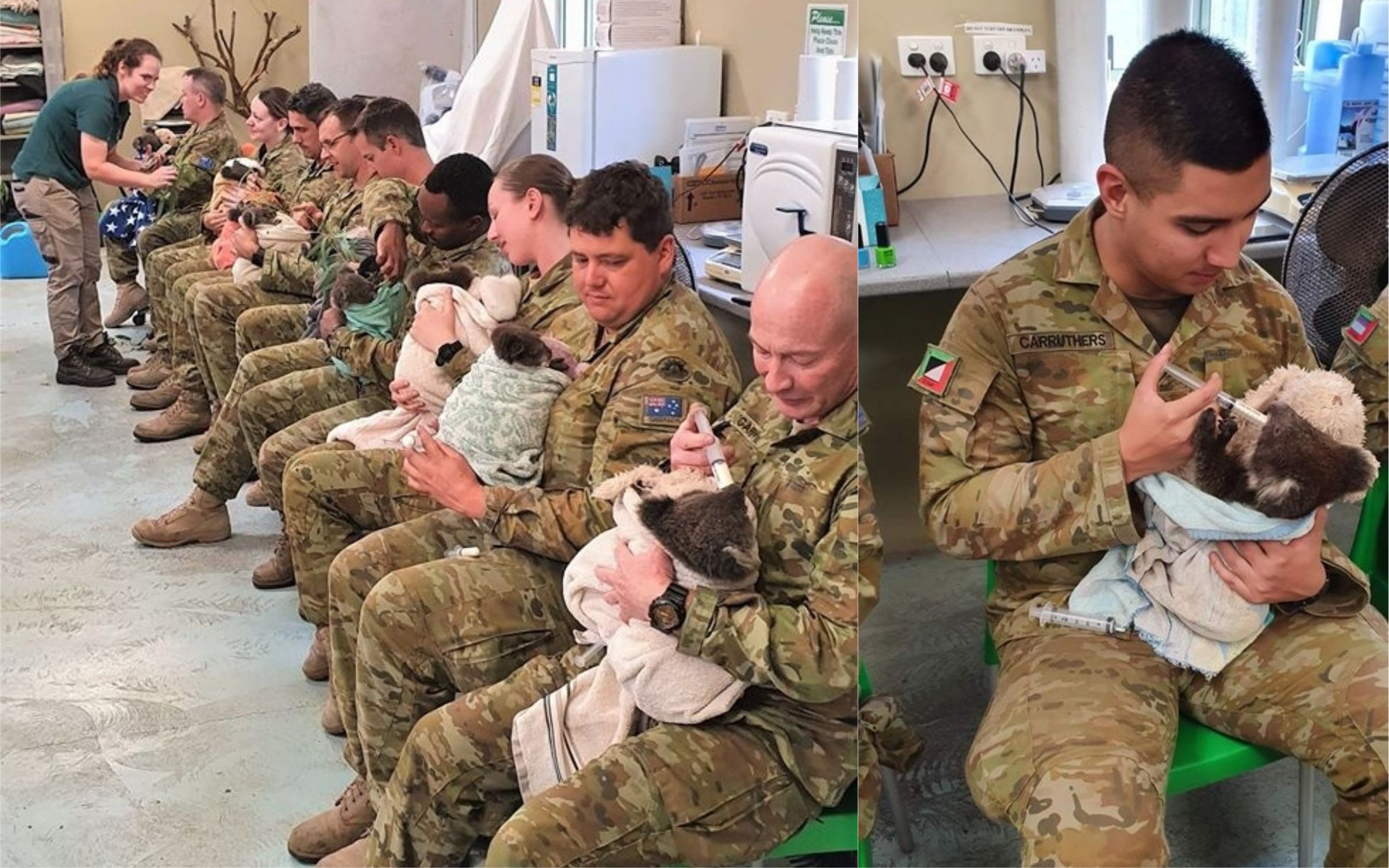 З'явились милі фото австралійських військових, які годують врятованих коал З'явились милі фото австралійських військових, які годують врятованих коал