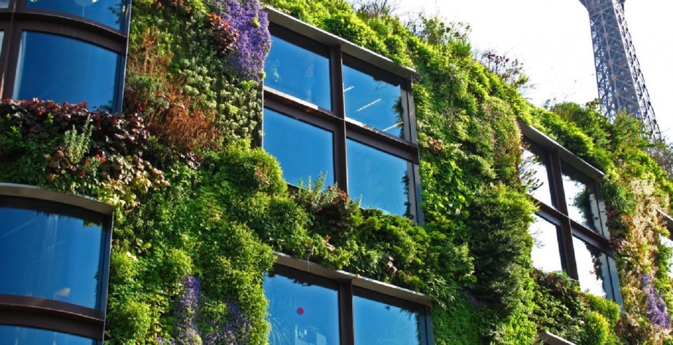 Дерева на дахах та овочеві грядки на терасах: фото і відео міста майбутнього Дерева на дахах та овочеві грядки на терасах: фото і відео міста майбутнього