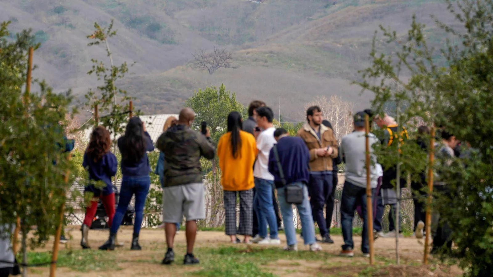 Браянт, авіакатастрофа, Джіанна, США, баскетбол Браянт, авіакатастрофа, Джіанна, США, баскетбол