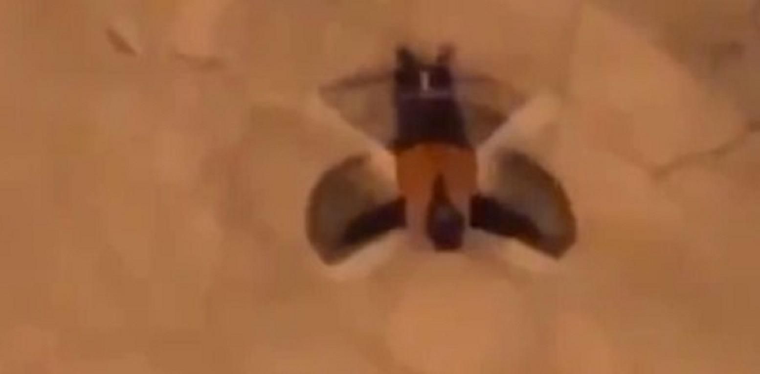 Як пережити понеділок або розваги російських комунальників: курйозне відео Як пережити понеділок або розваги російських комунальників: курйозне відео