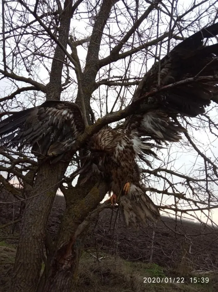 Анна Назарева секс Секс Тадикиски