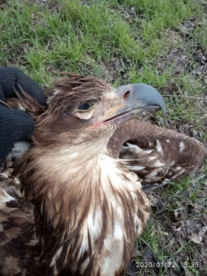 Тоймайтын блять Орыс жұмыс сұхбаты порно видео