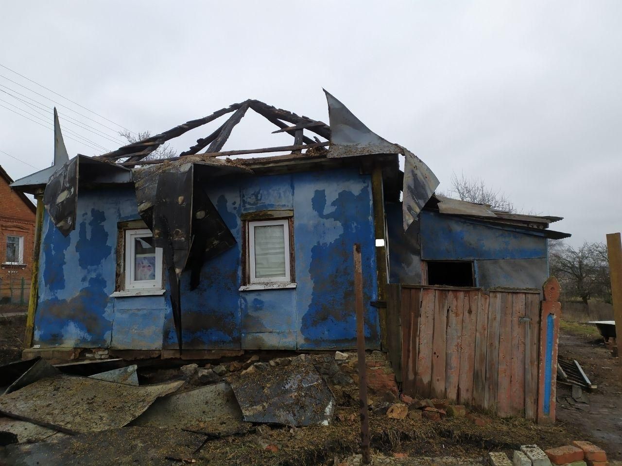 На Сумщині кіт врятував свого господаря з пожежі: фото На Сумщині кіт врятував свого господаря з пожежі: фото