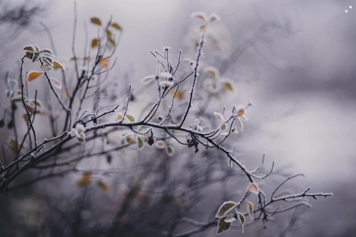 Погода 30 січня 2020 Україна: яку погоду обіцяє синоптик Погода 30 січня 2020 Україна: яку погоду обіцяє синоптик