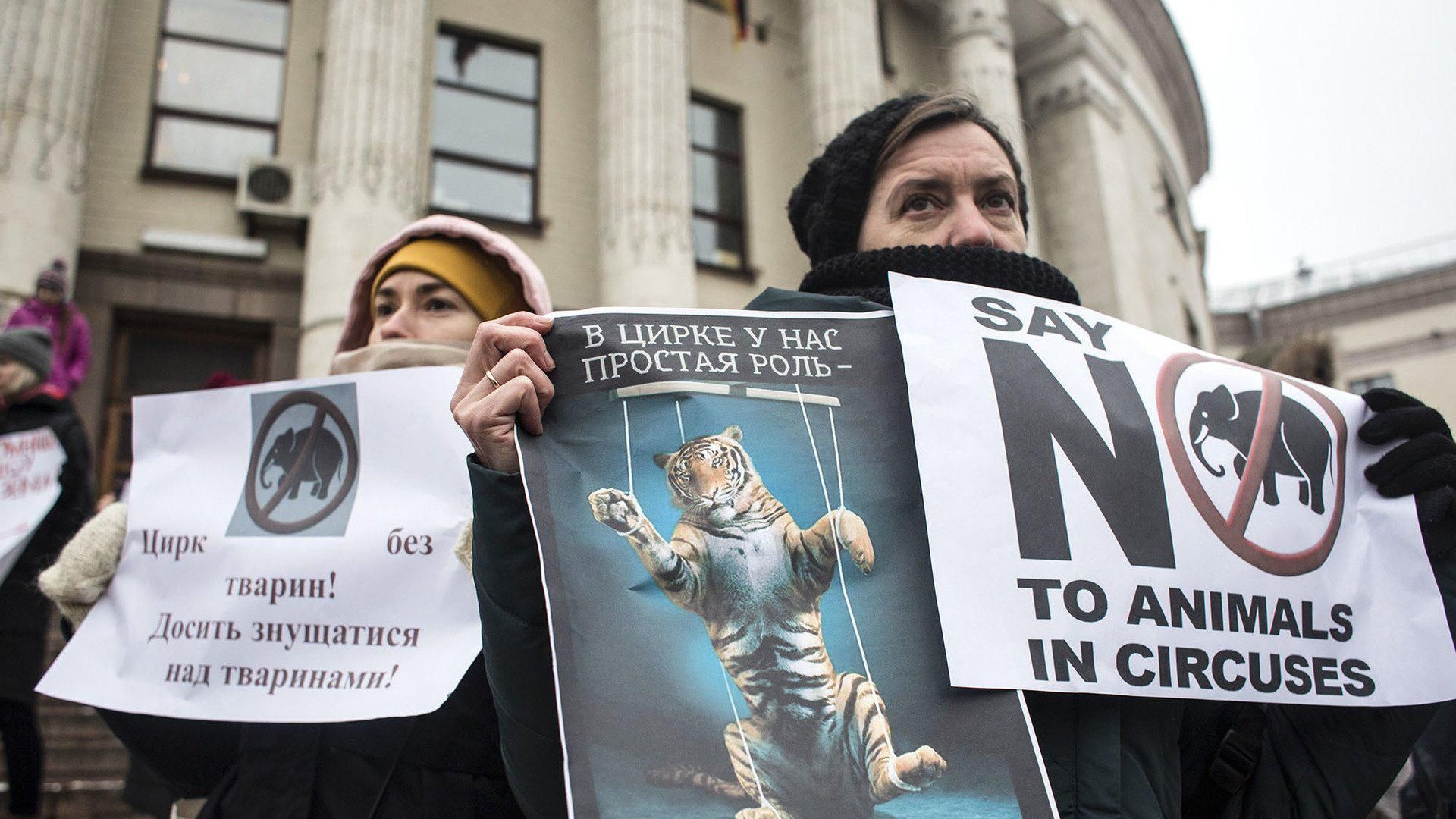 Мінкульт готує законопроєкт про цирки без тварин: коли чекати змін