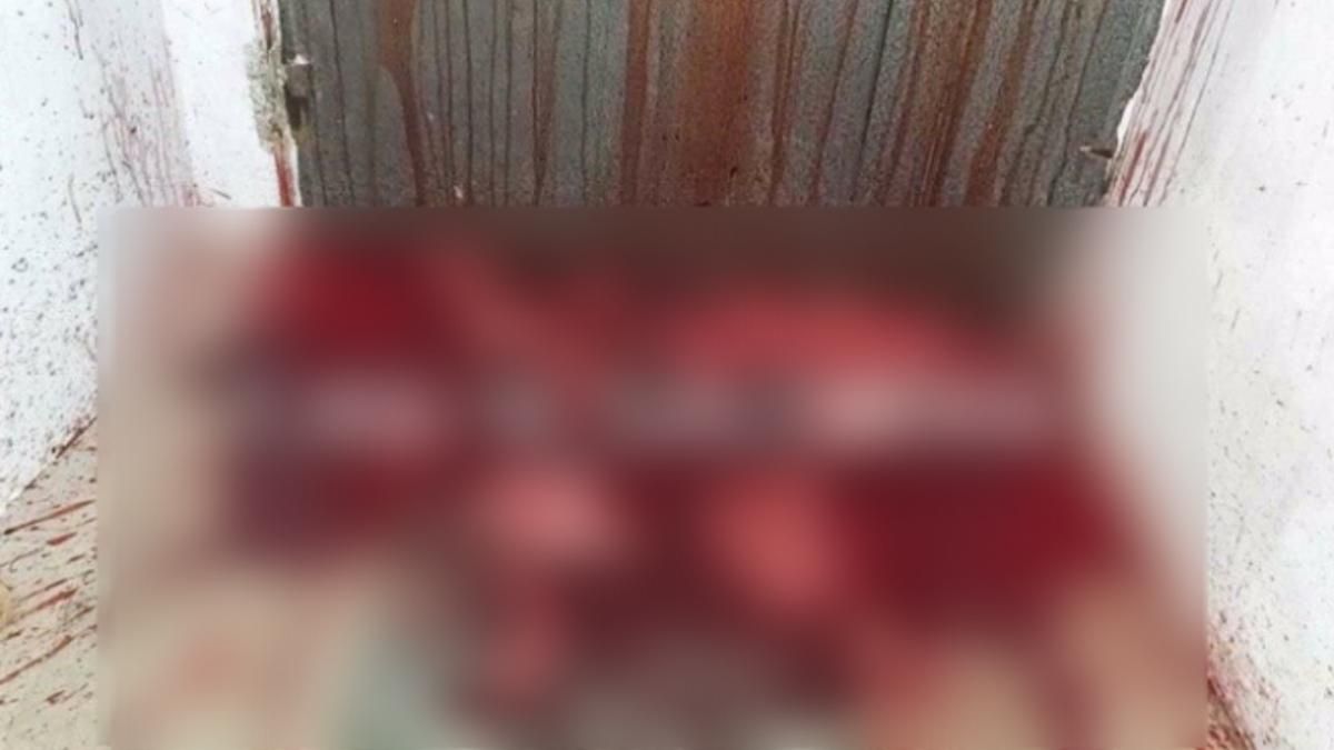 Харківські колектори залишають біля під’їзду кров і шматки м’яса Харківські колектори залишають біля під’їзду кров і шматки м’яса