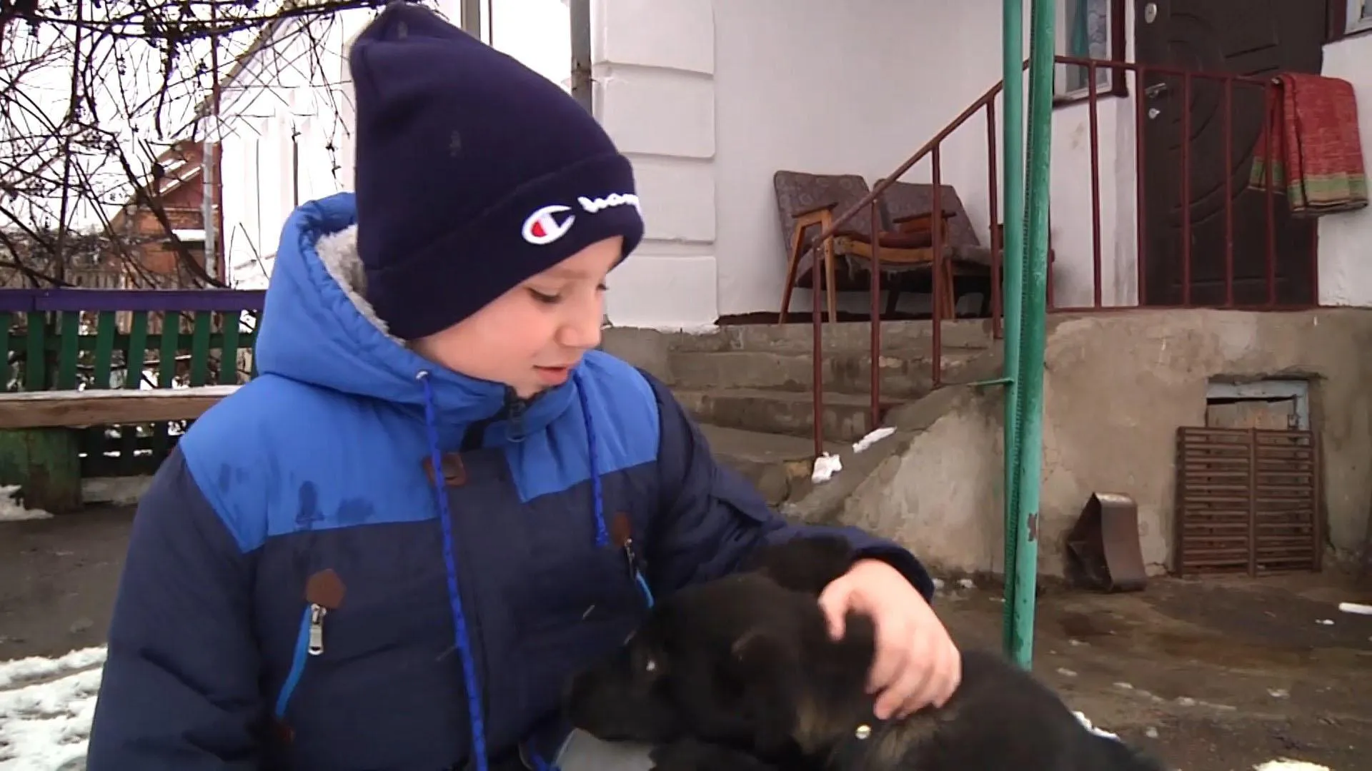 Цуценя Цуценя