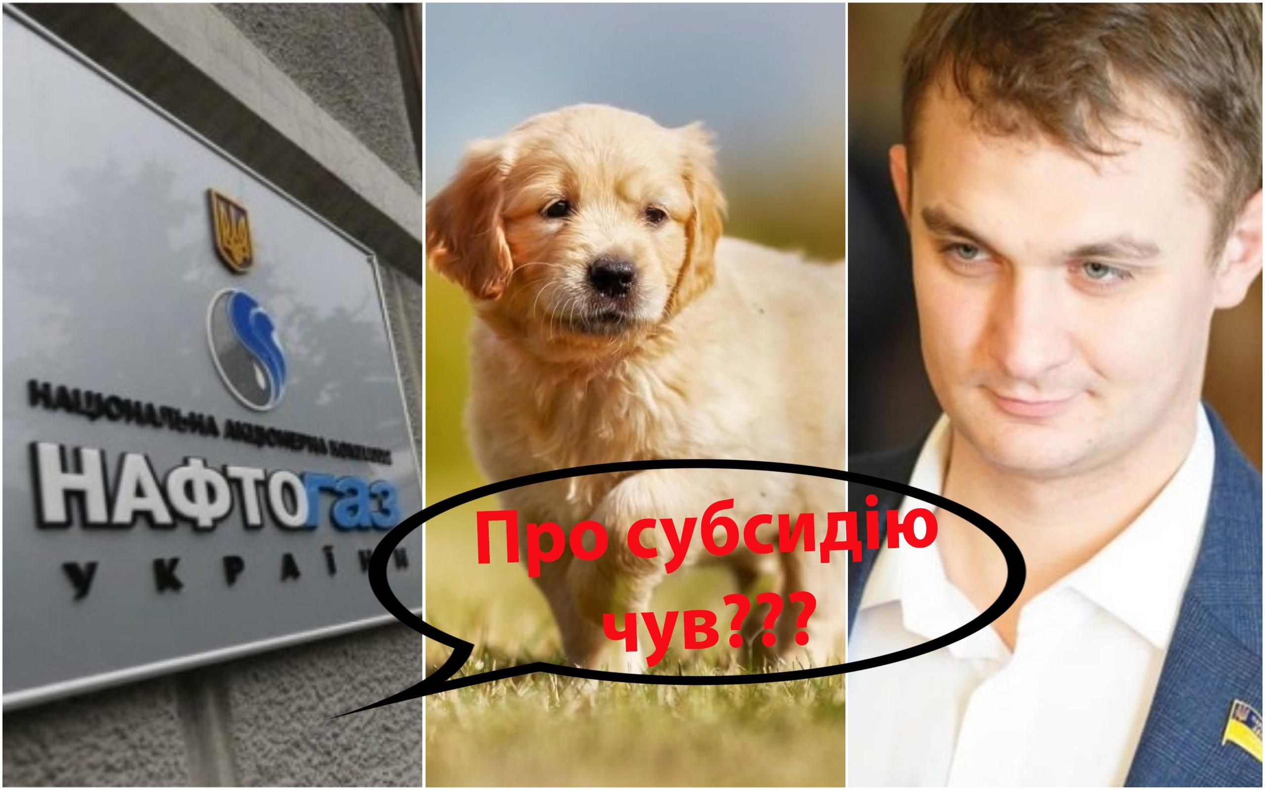 Бро не продається, – "Нафтогаз" потролив нардепа СН через заяву про комуналку Бро не продається, – "Нафтогаз" потролив нардепа СН через заяву про комуналку
