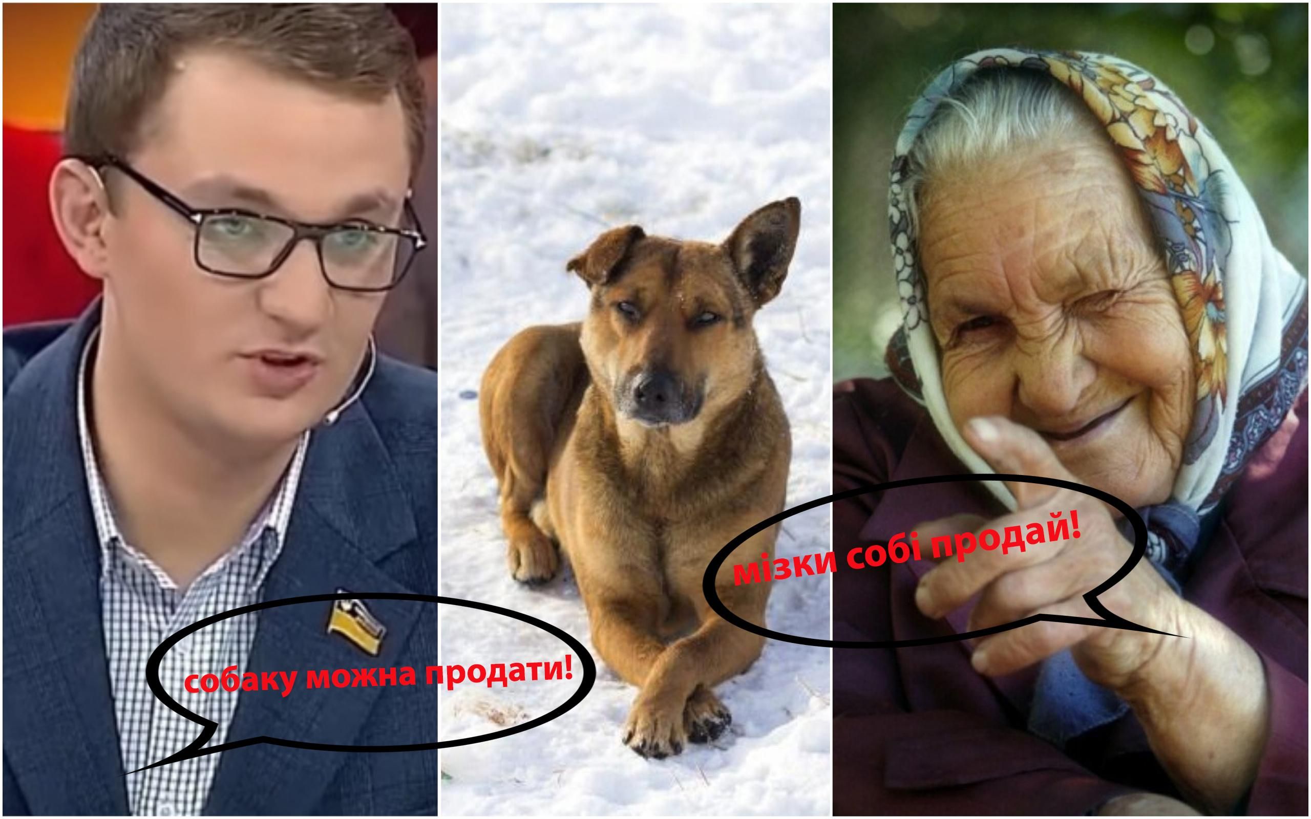 Шарику 14 лет, нечего продавать, – пенсионерка ответила депутату Брагарю Шарику 14 лет, нечего продавать, – пенсионерка ответила депутату Брагарю