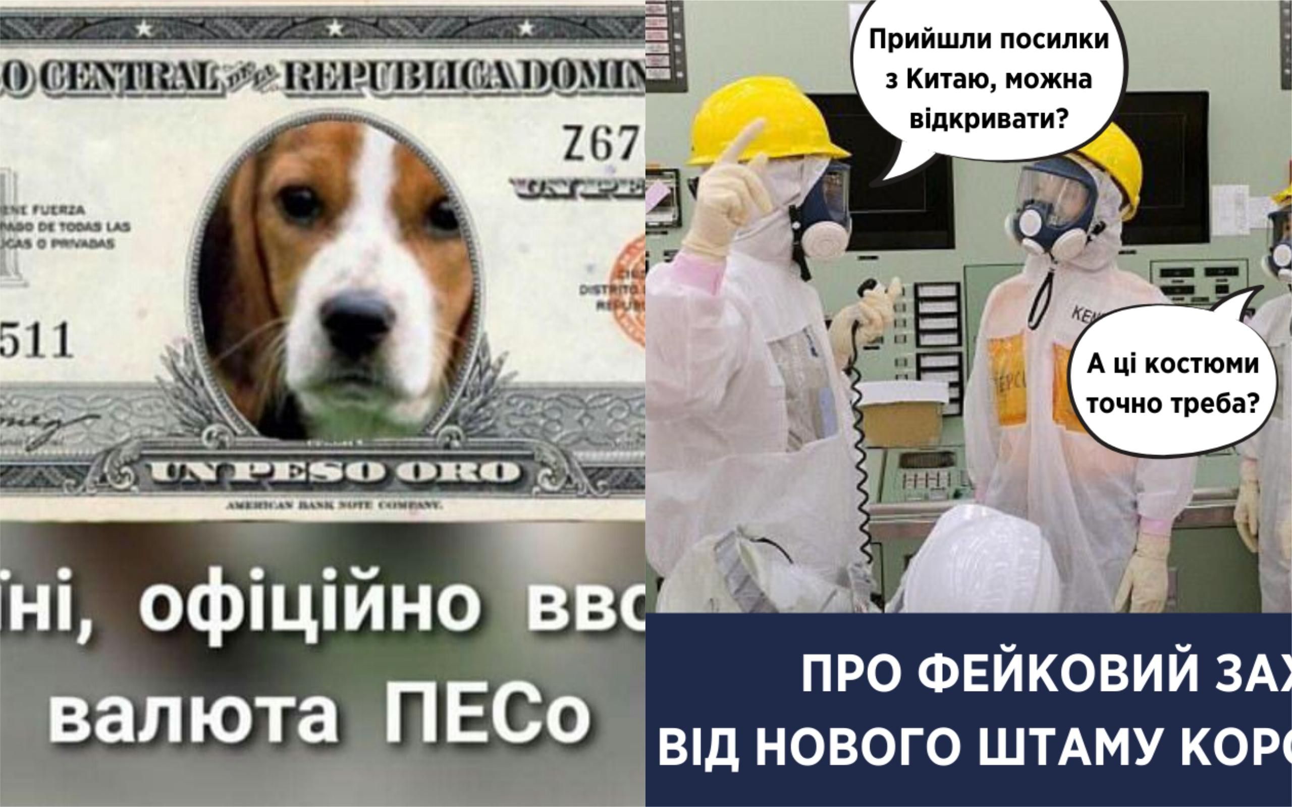 Самые смешные мемы недели: песовалюта, Укрпочта против коронавируса, уже добравшегося до России