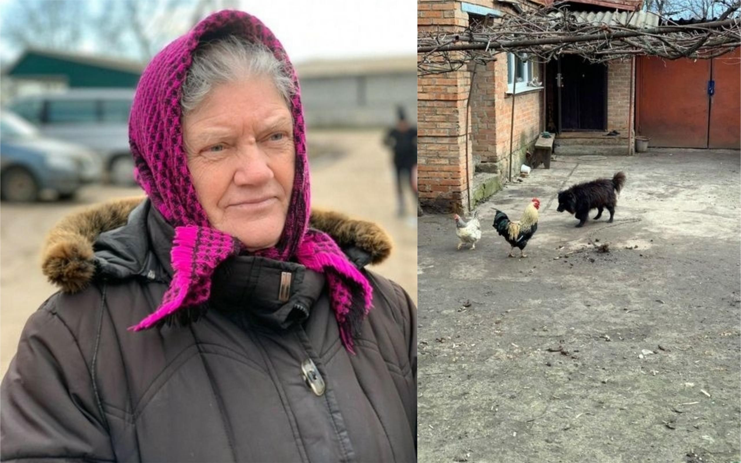 З'явились фото "елітного" Шаріка, якого пенсіонерка мала продати за комуналку З'явились фото "елітного" Шаріка, якого пенсіонерка мала продати за комуналку